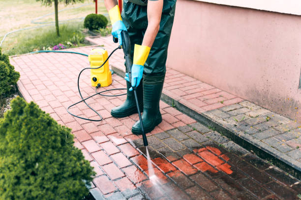 Best Driveway Pressure Washing  in USA